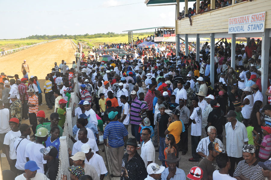 horse race crowd