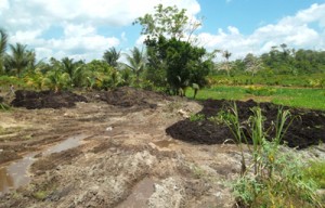 One of the destroyed farms