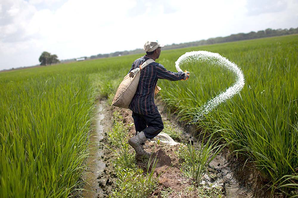 Low cost Venezuela Fertilizer To Benefit Farmers From Next Week 