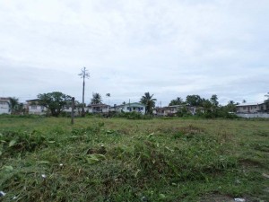 Large sections of the cemetery were cleared yesterday by a local businessman.