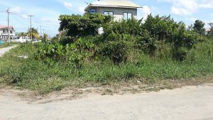 An empty lot in Diamond, a village on the East Bank Demerara.