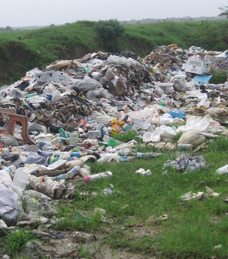 Garbage thwarts Mainstay residents - Kaieteur News