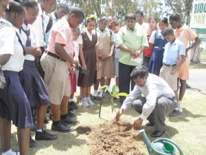 Education Minister Shaik Baksh plants a tree