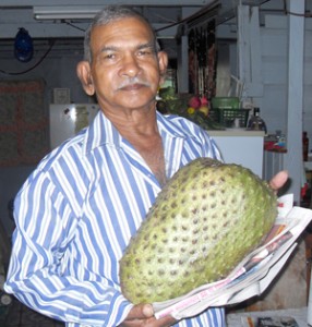 Mohabir Ramsahoi proudly displays his giant soursop. 