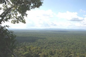 The Iwokrama reserve, Guyana - view from Turtle Mountain (Canopy Capital photo)