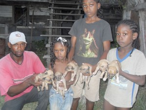 Members of the household and the surviving pups