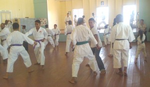 Members of the Main Dojo-National Park along with Sensei Chaves, Sensei Singh, and Sensei Cyrus going through some demonstrations at the Port Mourant Community Centre.  