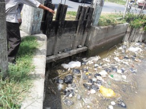 A resident pointing at the carcass and garbage wrapped inside the bags.   