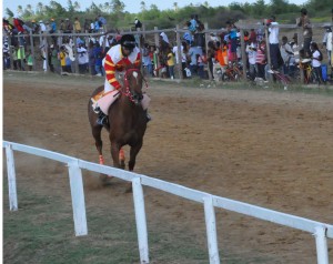 Zenyatta, one of the star attractions to be on show