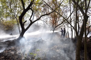 Firemen fighting the fire 