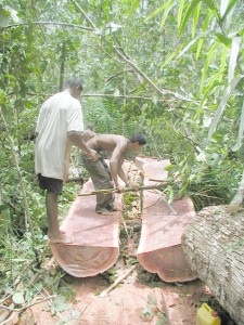 Government is cracking down on logging and mining camps to ensure that workers’ safety regulations are being adhered to.