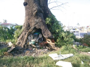 The mentally ill woman’s belongings stuffed in the hollow tree trunk 