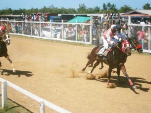 Part of the Guyana Cup action. The slimmest of  victories as Cat Messiah no2 edges Silent Night.