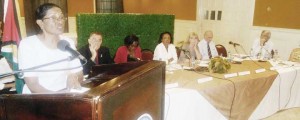 One of the UN reps, with colleagues in the background, during a presentation.