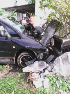 The boy was pinned between the car and the fence.