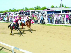 Amazon Warrior with Badrie winning the Two Year old Guyana Event from Miss Messiah of The Gansham Singh Stable with Paul Delph  in a close finish.