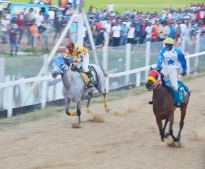 Treacle (right) with jockey Drepaul winning a previous clash with Score’s Even with Jockey Richmond on board.