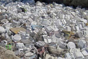 Styrofoam boxes piled up in a drain in Georgetown.