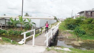 The timber footpath bridge linking Kaneville and Samatta Point, East Bank Demerara