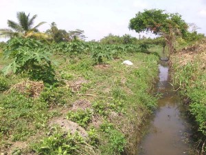 Irrigation in place for farmers in Hope backlands 