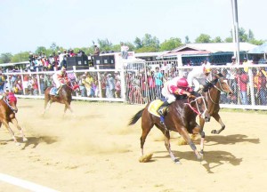 Release the Beast of the Jumbo Jet Stable winning a close race in the G3 event from Bridal Stone Corner of the Crawford stable.