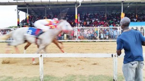 The camera caught the two horses in the ‘A’ class event, Jack in My Style (foreground) and Spit Fire, thundering to the line in the controversial race.