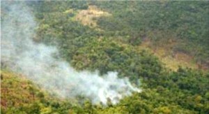  Authorities are monitoring a number of fires in the Kanuku Mountains, Region Nine 