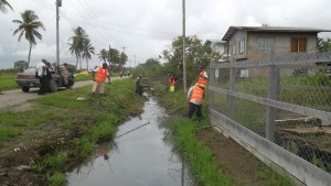 Workers clearing the drains at Leguan, Essequibo Islands