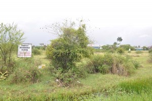 The Government owned PSU ground which hosted Inter-County youth cricket now looks like a jungle.