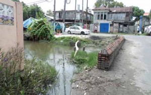 A cleaned canal in Hunter Street.