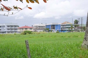 The ground opposite Stella Maris Primary is full of ‘cow holes’ and high grass.