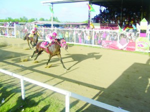  It’s the Jumbo Jet all the way as It’s My Choice with Budram Singh leads stablemate Keep On Swinging with Badree in the 3yr old WI bred event.