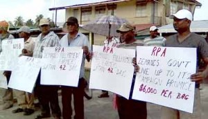 Rice farmers protesting  