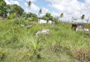 The Sussex Street end of Le Repentir Cemetery, which was cleared just last year