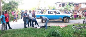 Police examine the body of Junior Gulliver, the mentally ill man who was shot dead by police ranks at Strathavon Cane Grove.