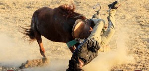 This very uncooperative horse dumps his rider during the Saddle Bronco contest.