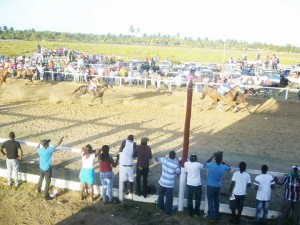 Goodwill Boy of the Jagdeo stable with Paul Delph on the rails, edged out Spit Fire of the Shariff stable with Colin Ross in the feature E and 4 year old event.