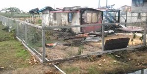 he burnt out house where Baichan and her son resided. 