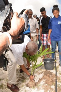 President David Granger plants a tree on Merriman Mall 