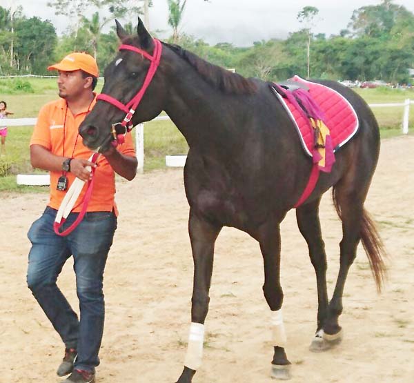 Wize Secret as it goes through its paces recently.