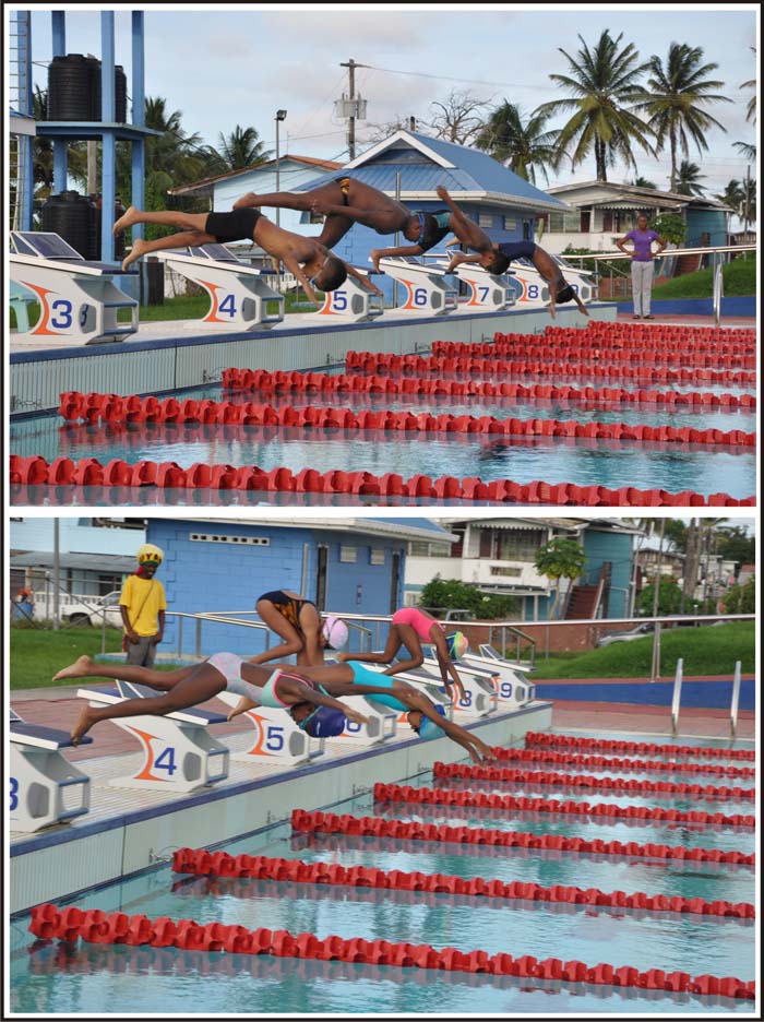 (Above) Competitors in the Boys 8 & Under 50 LC Meter Breaststroke; at left is the winner, Jeron Sookram of Dolphin Speed Swim Club. (Franklin Wilson photo) (Below) Girls 8 & Under 50 Meter LC Breastroke winner Kayla Hardy (left) of SASO powers to a good start which propelled her to victory. (Franklin Wilson photo)