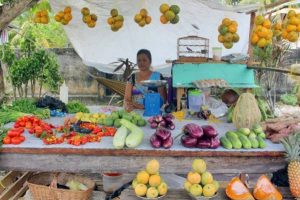 Nalini Sukhal, a vendor who works along the Timehri Highway.