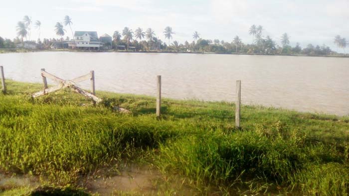 A flooded rice field