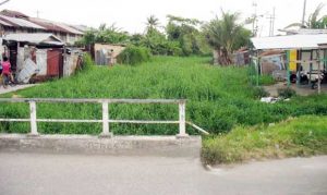 Squatting along the banks of a drainage channel