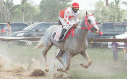 Guyana Cup 2016 expected to one with a difference and best ever Horses from Neighbouring Suriname coming this weekend