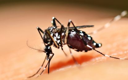 Zika virus – still a very prevailing health challenge