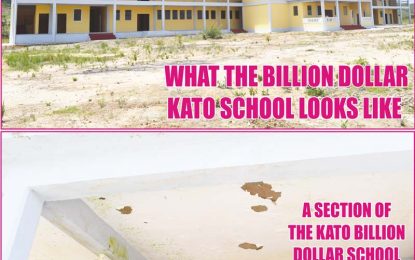 $1B Kato School riddled with defects