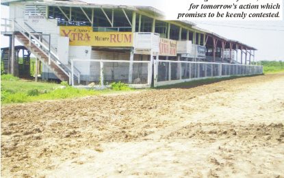 Over 80 entered for Real  President Cup Horserace meet