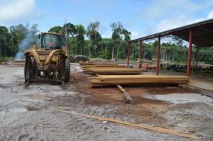 A sawmill at the Iwokrama concession.