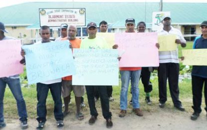 Blairmont Estate Workers protest unfair dismissal